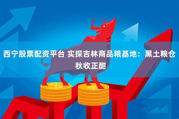 西宁股票配资平台 实探吉林商品粮基地：黑土粮仓 秋收正酣