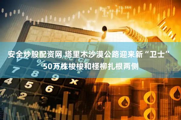安全炒股配资网 塔里木沙漠公路迎来新“卫士” 50万株梭梭和柽柳扎根两侧