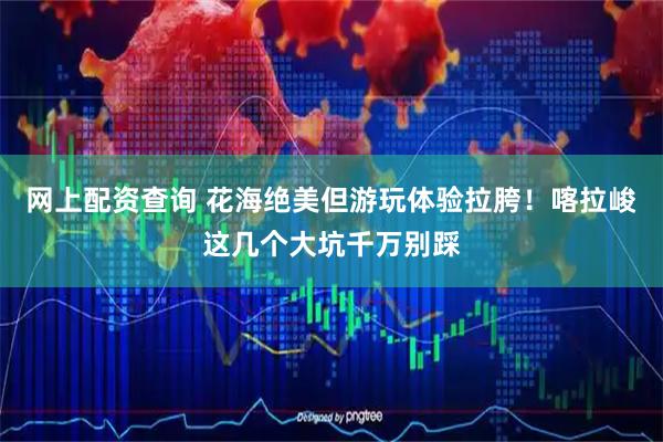 网上配资查询 花海绝美但游玩体验拉胯！喀拉峻这几个大坑千万别踩